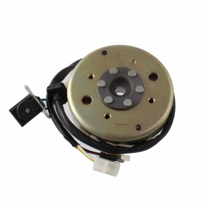 Volano con statore Garelli...