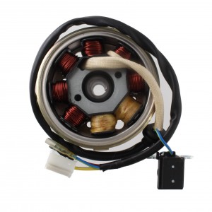 Volano con statore Garelli... 2