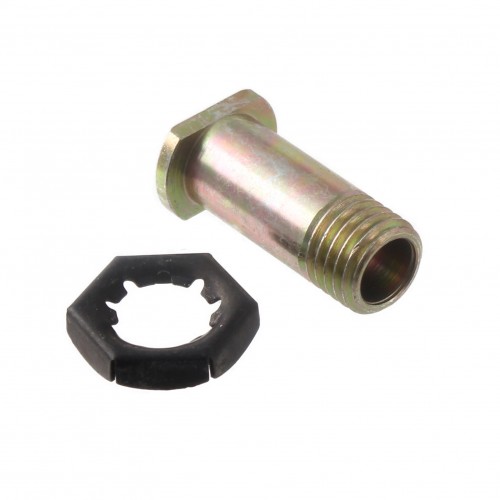 Perno fissaggio leva Cagiva Elefant...