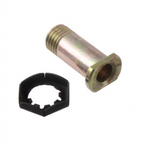 Perno fissaggio leva Cagiva... 2