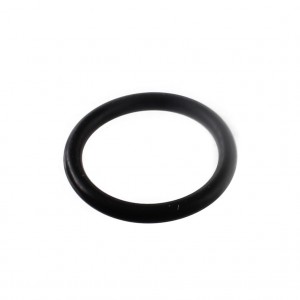 O-Ring OR diametro 18,72...