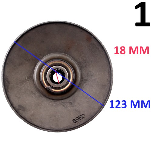 Semipuleggie variatore Malaguti...