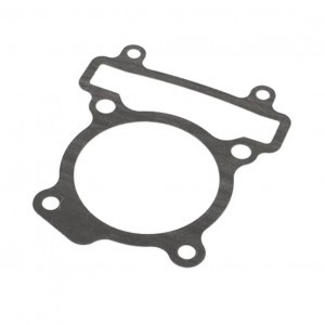 Guarnizione di base del...