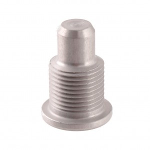 Vite di fasatura canotto...