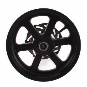 Cerchio ruota anteriore...