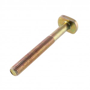 Vite tendicatena Cagiva W4...