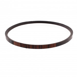 Cinghia trasmissione...