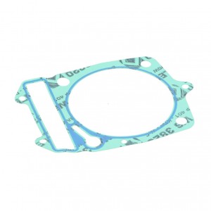 Guarnizione cilindro e...