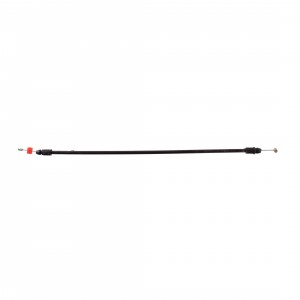 Trasmissione di apertura...