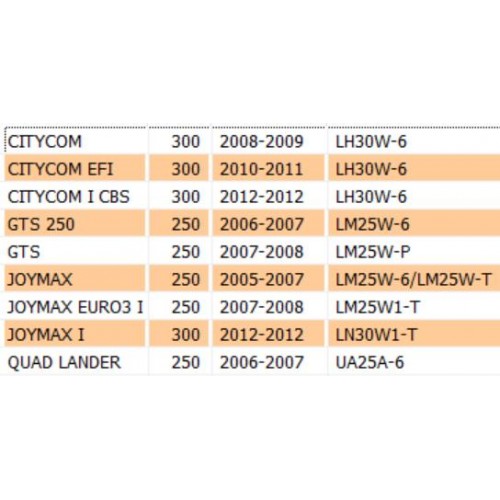Kit masse frizione Sym Citycom GTS...