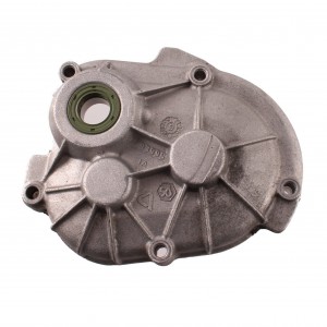 Carter mozzo ruota...