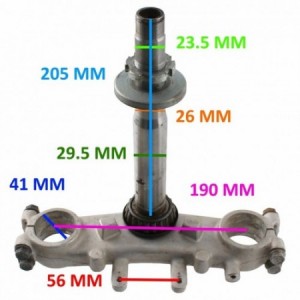 Testa crocera forcella... 2