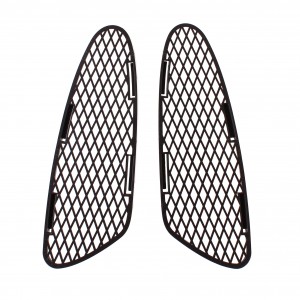 Coppia griglie posteriori...