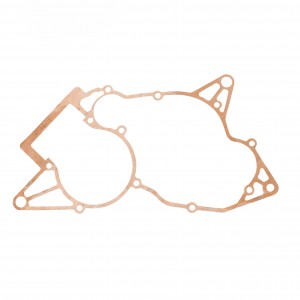 Guarnizione carter centrali...