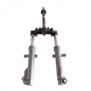 Forcella anteriore per...