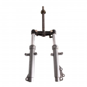 Forcella anteriore per... 2