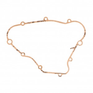 Guarnizione del carter...