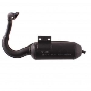 Marmitta per Peugeot Zenith... 2