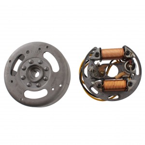 Volano con statore Ducati...