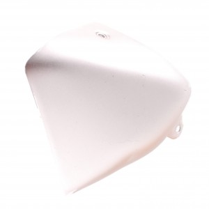 Protezione supporto destro...