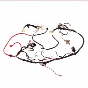 Impianto elettrico per...