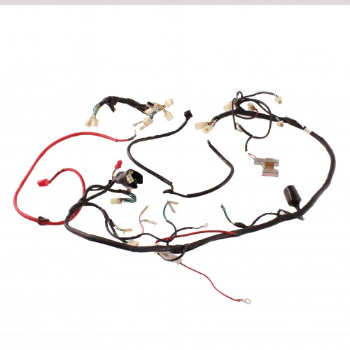 Impianto elettrico per Garelli Tiesse...