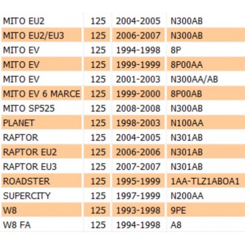 Saltarello fissa folle per Cagiva...