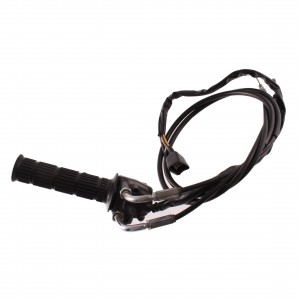 Comando gas e accensione... 2