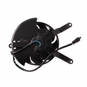 Elettroventola radiatore...