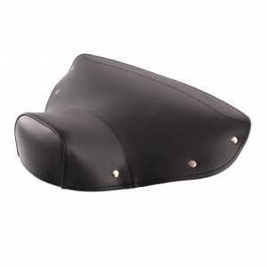 Copertura sella Aquila...