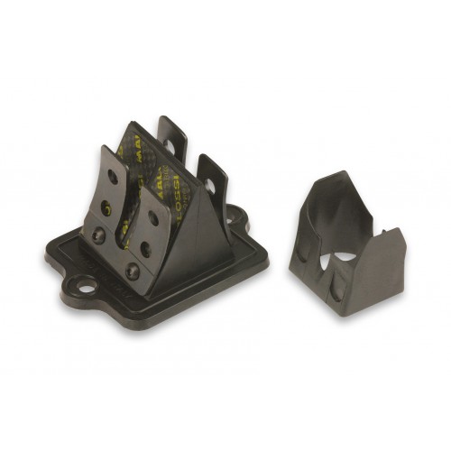 Pacco lamellare per Piaggio NRG...