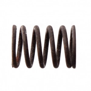 Molla bauletto anteriore...