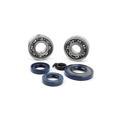 Kit revisione albero motore per Vespa...