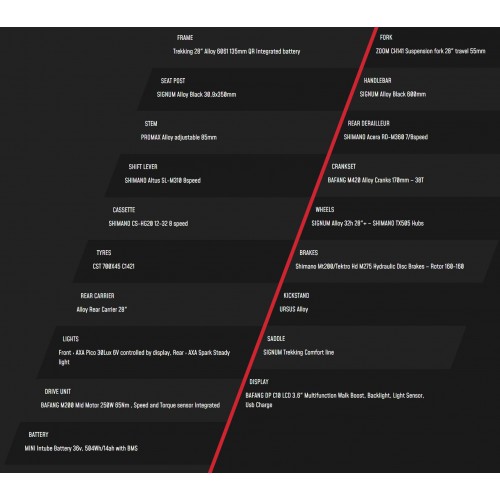 Bicicletta elettrica Lombardo Maratea...