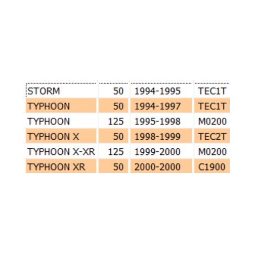 Freccia posteriore destra Piaggio NRG...