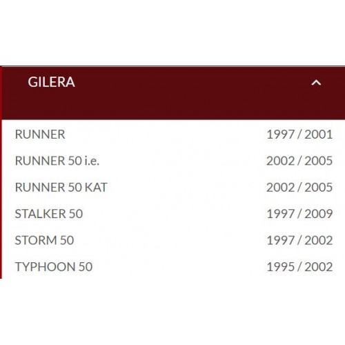 Marmitta Giannelli Shot V4 per...