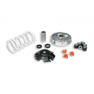 Variatore Multivar Malossi...