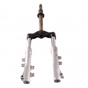 Forcella anteriore per...