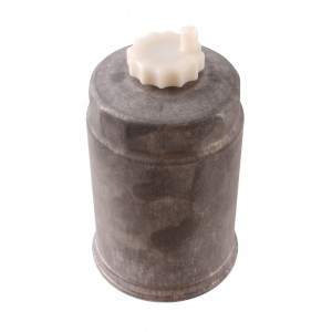 Filtro benzina per Auto...