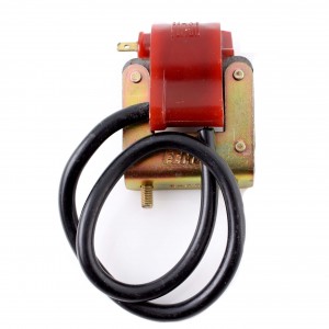 Bobina accensione per Bravo...