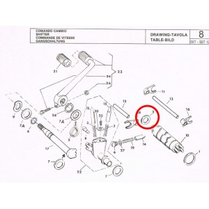 Rasamento albero... 2