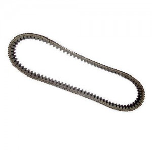 Cinghia trasmissione per...