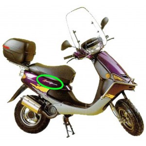 Adesivo fianco posteriore... 2