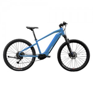 Bicicletta elettrica... 2