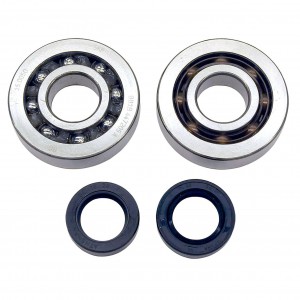 Kit revisione albero motore...