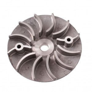 Puleggia anteriore fissa...