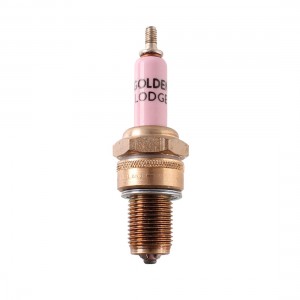 Candela Golden Lodge HL 2