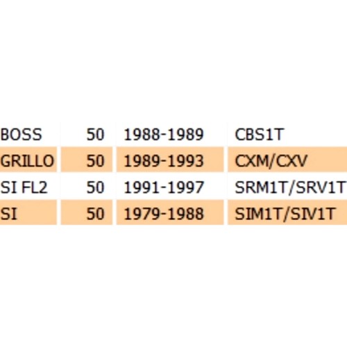 Ammortizzatore posteriore Piaggio...