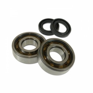 Kit revisione albero motore...