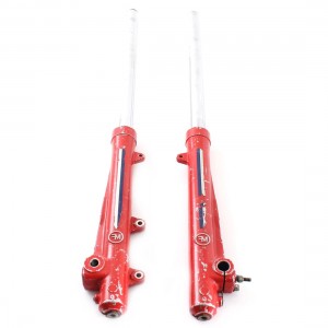 Coppia steli forcella...